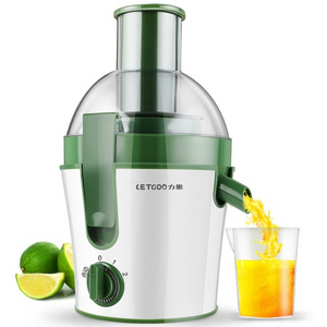 Functional Electric Juicer