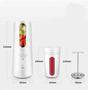 Portable Fruit Juicer